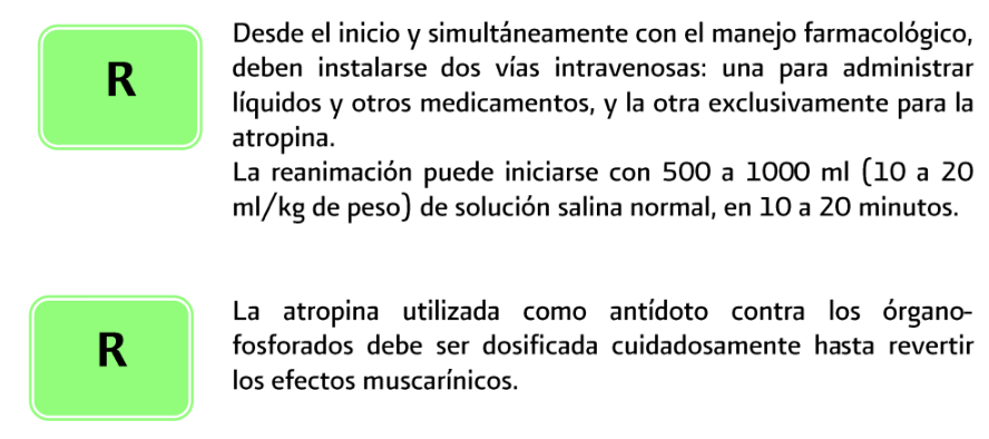 6. Tratamiento 3 - GPC-SS-100